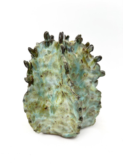 Small Euphorbia I