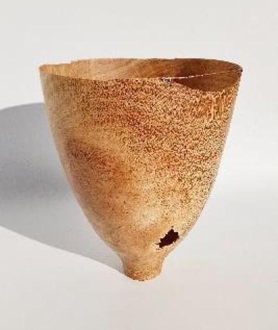 Silky oak vase II
