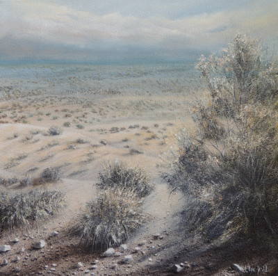 Oasis