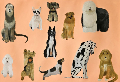 Goldendoodle & Co (Pink background)