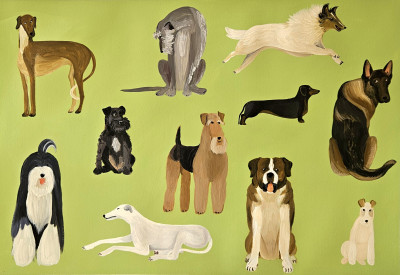 Schnauzer & Co (Green background)