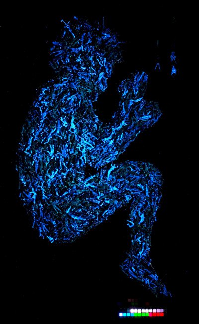 The Binding  -Repair