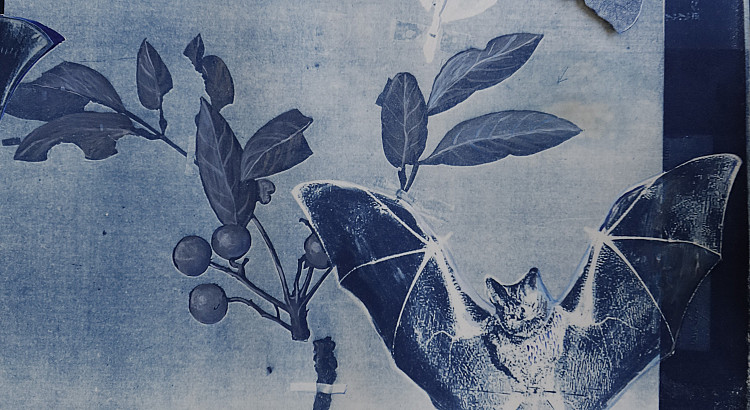 Under Pressure: Botanical Hauntings