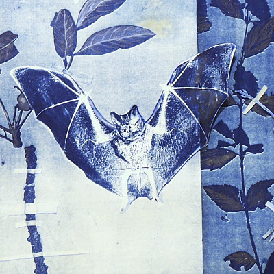 Under Pressure: Botanical Hauntings/ Shadow Crops