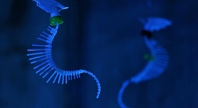 The Abyssal Zone
