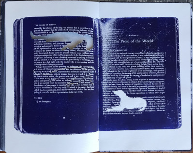 Blueprint for the Disorder of Things: In the depth