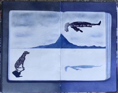 Blueprint for the Disorder of Things: South Africa