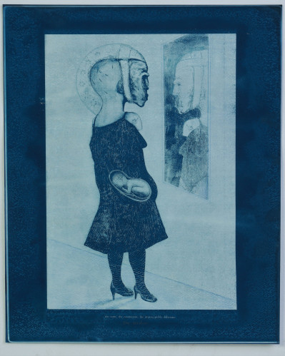 The Blue Astronomer I and II - The Widow