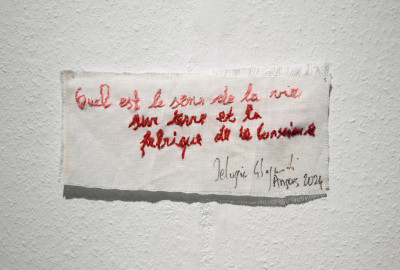 Quel est le sens de la vie sur terre et la fabrique de la conscience