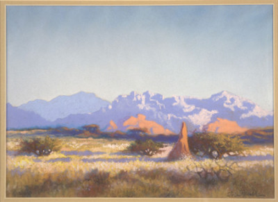 S.W.A Landscape