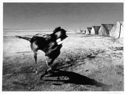 Nadir images of dispossession and conflict