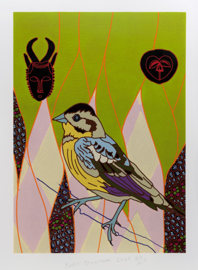 African Bird Magic V
