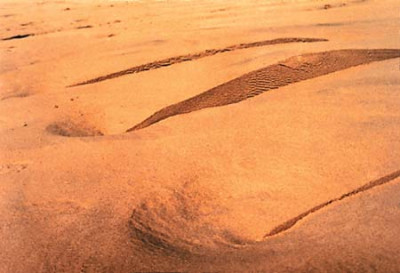 Beach Piece, Addington Beach, Durban