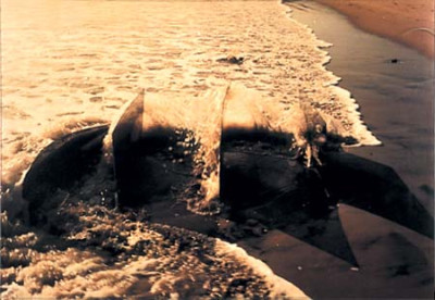 Beach Piece, Addington Beach, Durban