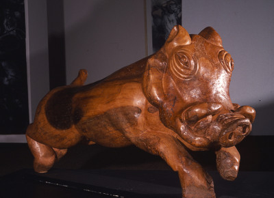 warthog