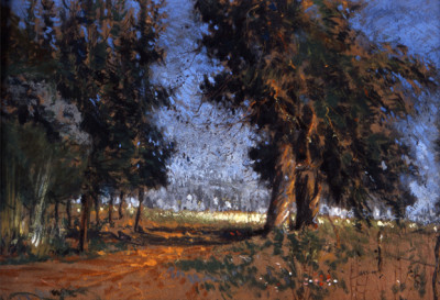 Landscape