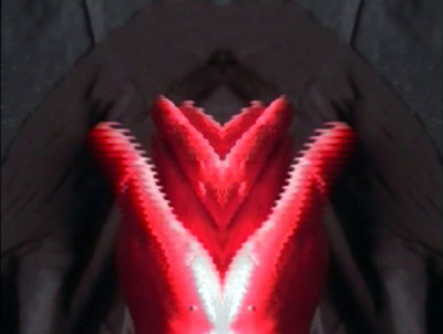 Struggle of the heart