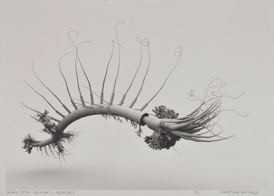 Organic System Mutation 2