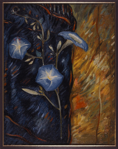 Morning Glories