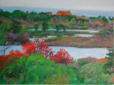 View from Lookout Bay