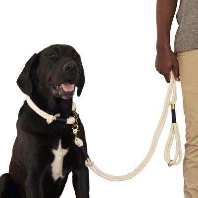 chommies dog collars