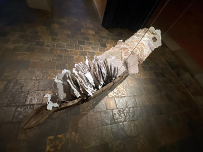 The White Paper Boat