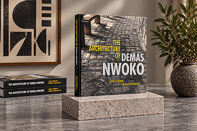 The Architecture Of Demas Nwoko