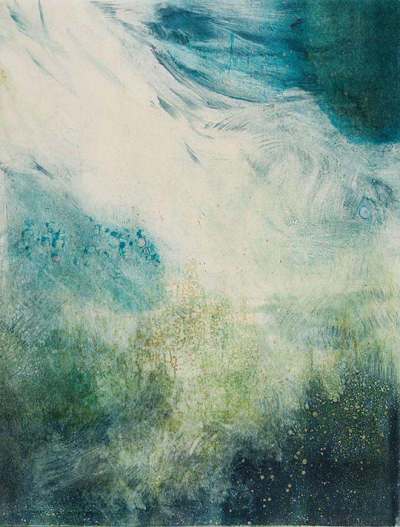 Forest stream