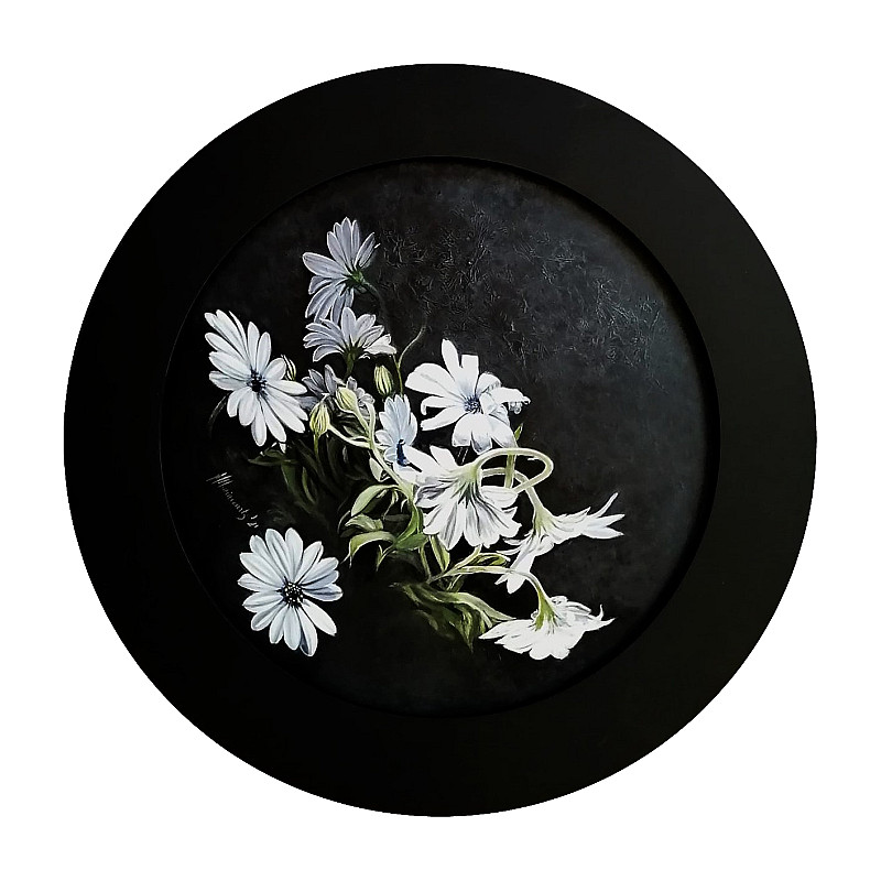 Dancing African Daisies