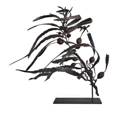 Anthophycus longifolius I {Maquette}