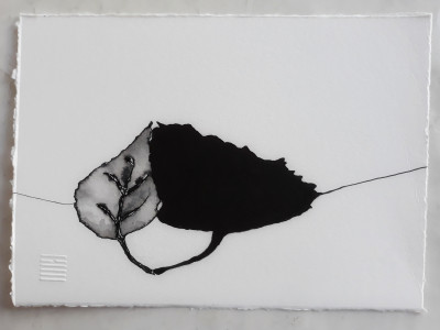 Held by our shadow I _ series