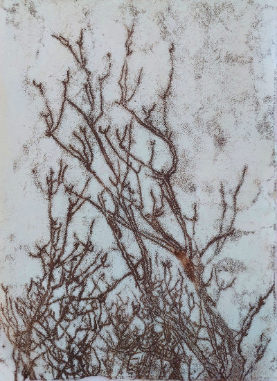 Untitled i