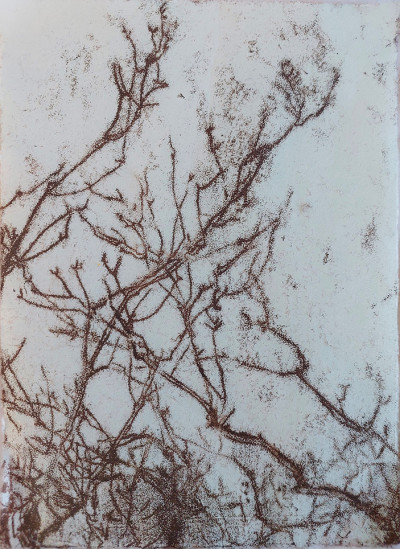 Untitled ii