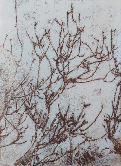 Untitled 3