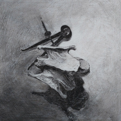 Horse vertebra and calipers