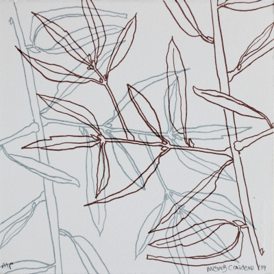Extending the olive branch 3
