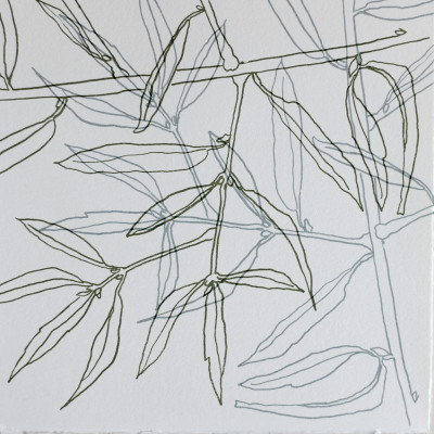 Extending the olive branch 4