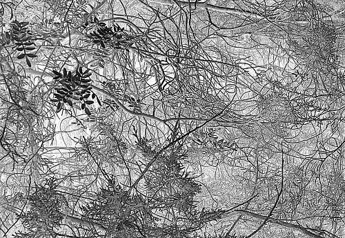 Maciej Urbanek - Borderless Practice