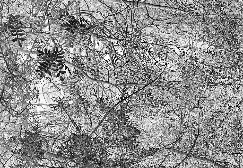 Maciej Urbanek - Borderless Practice