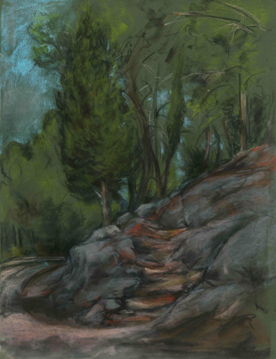 A Corner By The Raod In The Jerusalem Forest