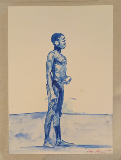 Blue Series
