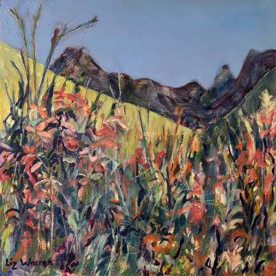 Cathedral Peak afternoon walk with Wild Dagga