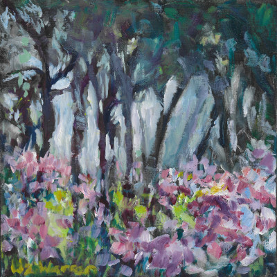 Delta park forest light