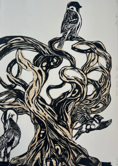 When Birds Flew Apart