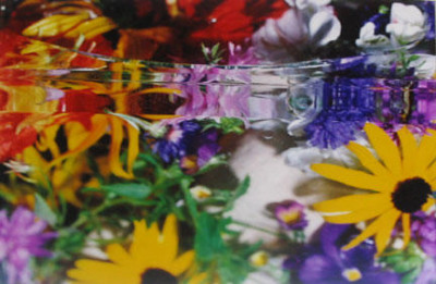 Floral Scene thru glass block