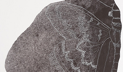 The Twelve Moths of Mourning