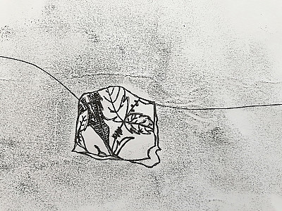 Faultlines of fragility