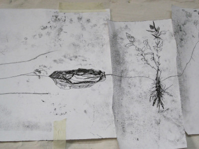 Faultlines of fragility - full series part I