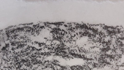 Caversham mindscape stone 4