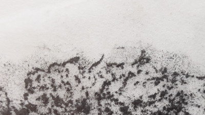 Caversham mindscape stone 5